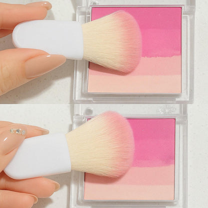 set pinceaux maquillage compact